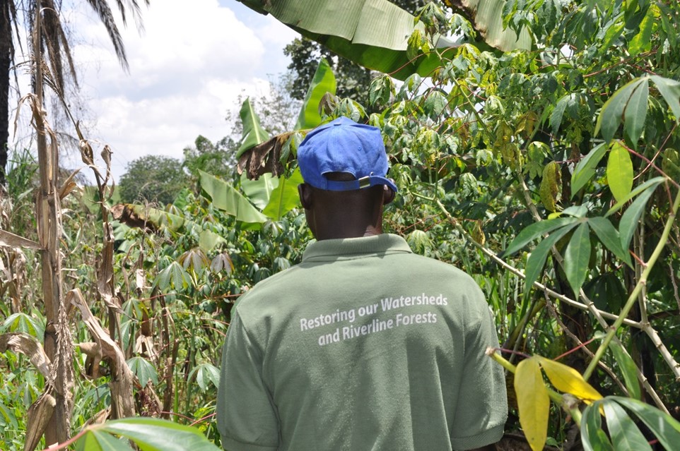 Bringing Trees Back Means Bringing Water Back in Uganda