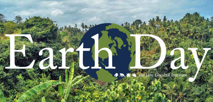 The #1 Thing We Want You to Do For Earth Day