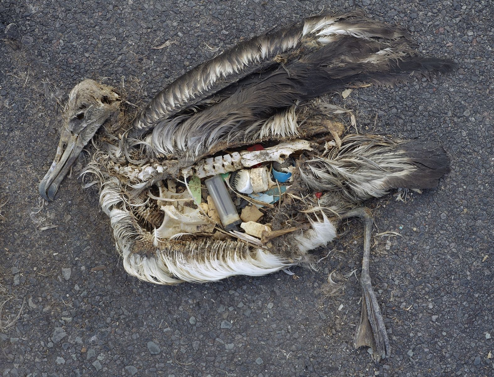 You’re Using Too Much Plastic