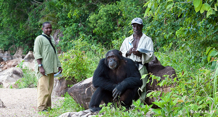 The New Gombe Masito Ugalla Biosphere Reserve: 3 Reasons We’re Excited About This New UNESCO Designation