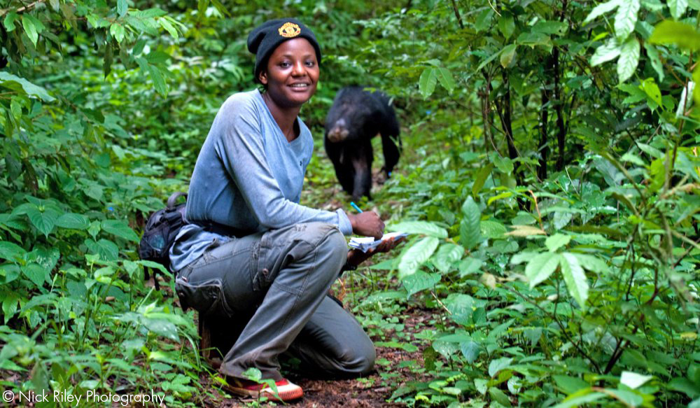 A photo of a young, feminine person with medium brown skin kneeling outside in a forest as a chimpanzee walks on the path behind her.