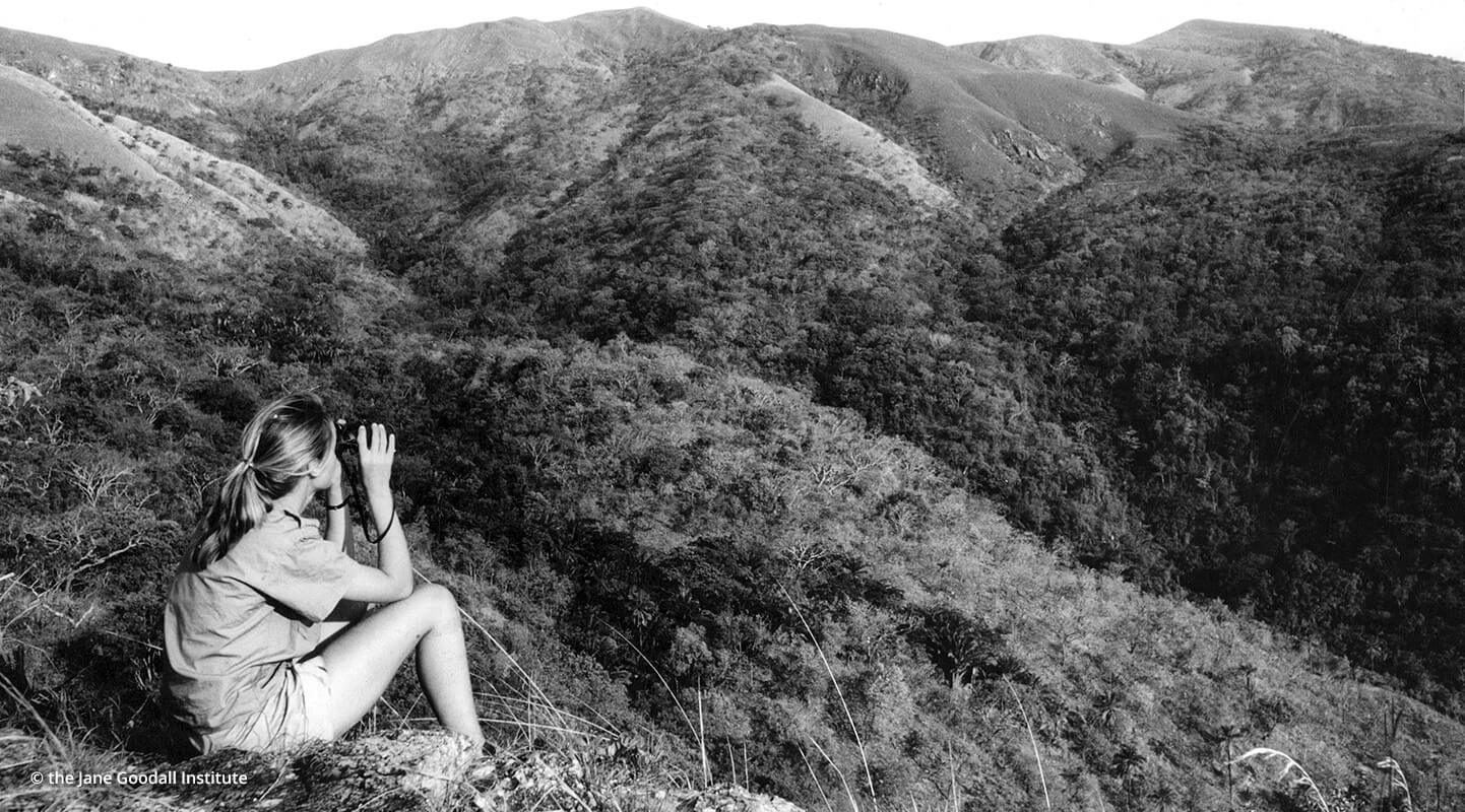 How to follow in Jane’s Footsteps and Study Animal Behavior
