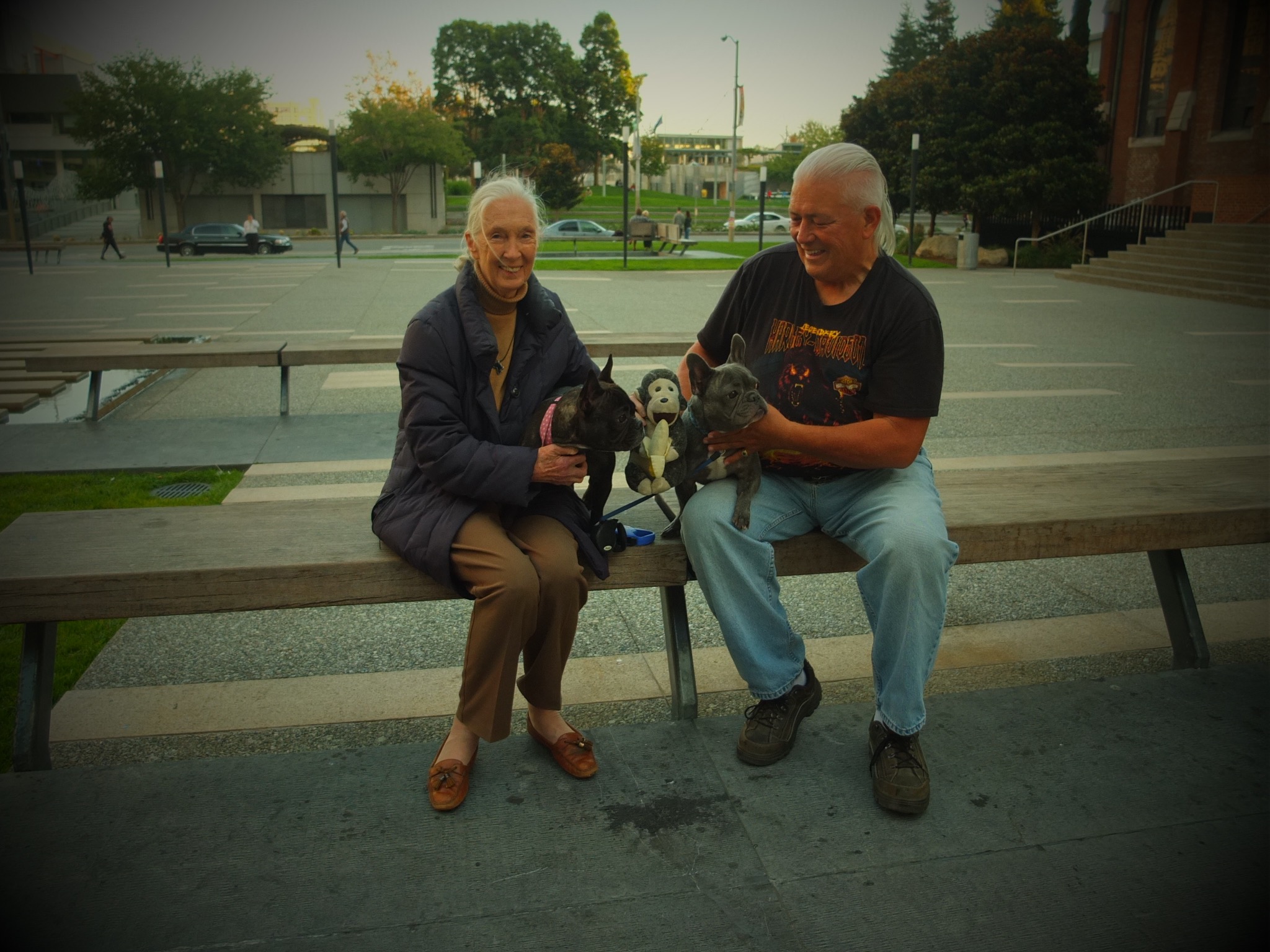 Chitcus and both Frenchies