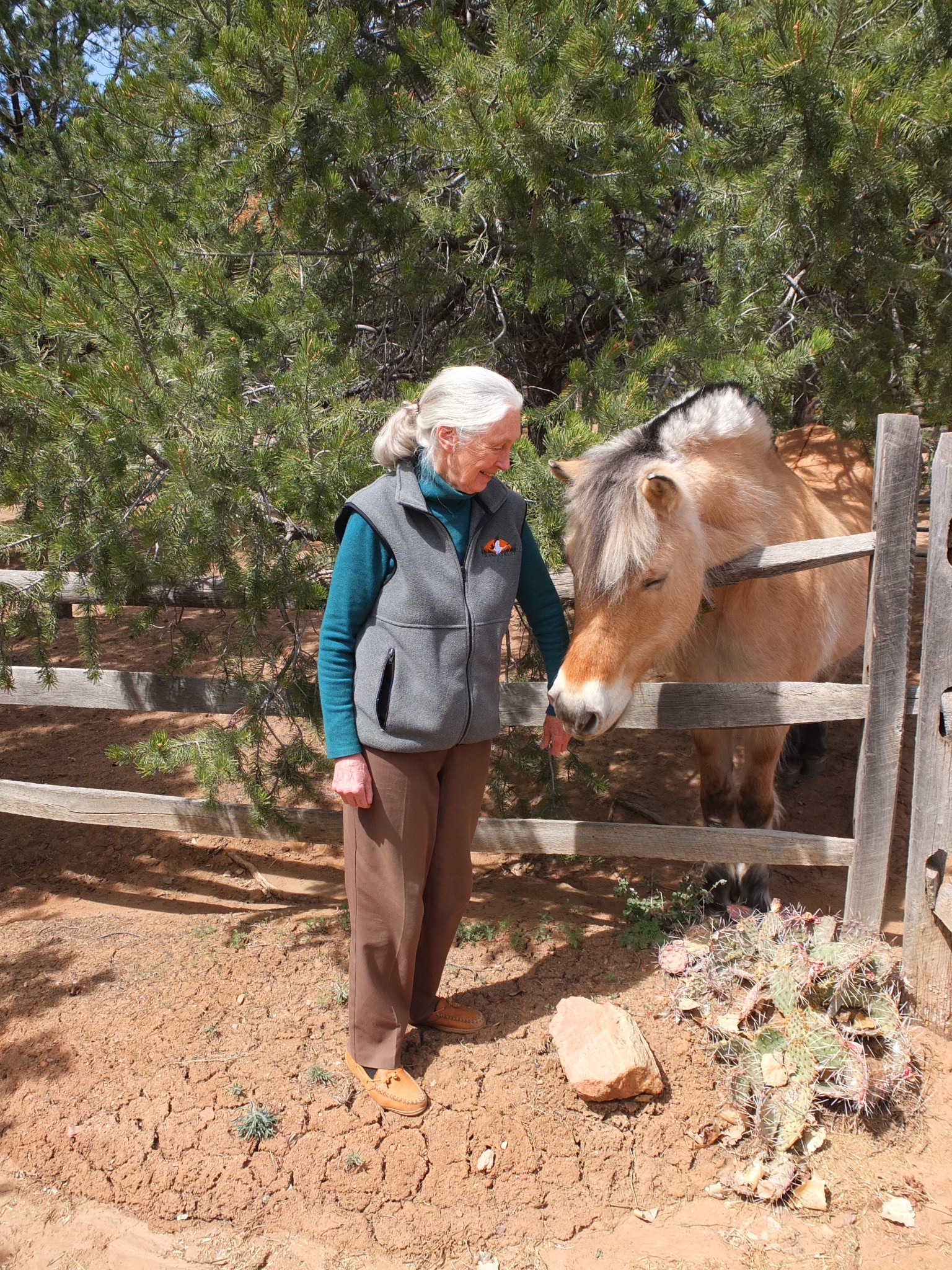 With Nickolai in Santa Fe