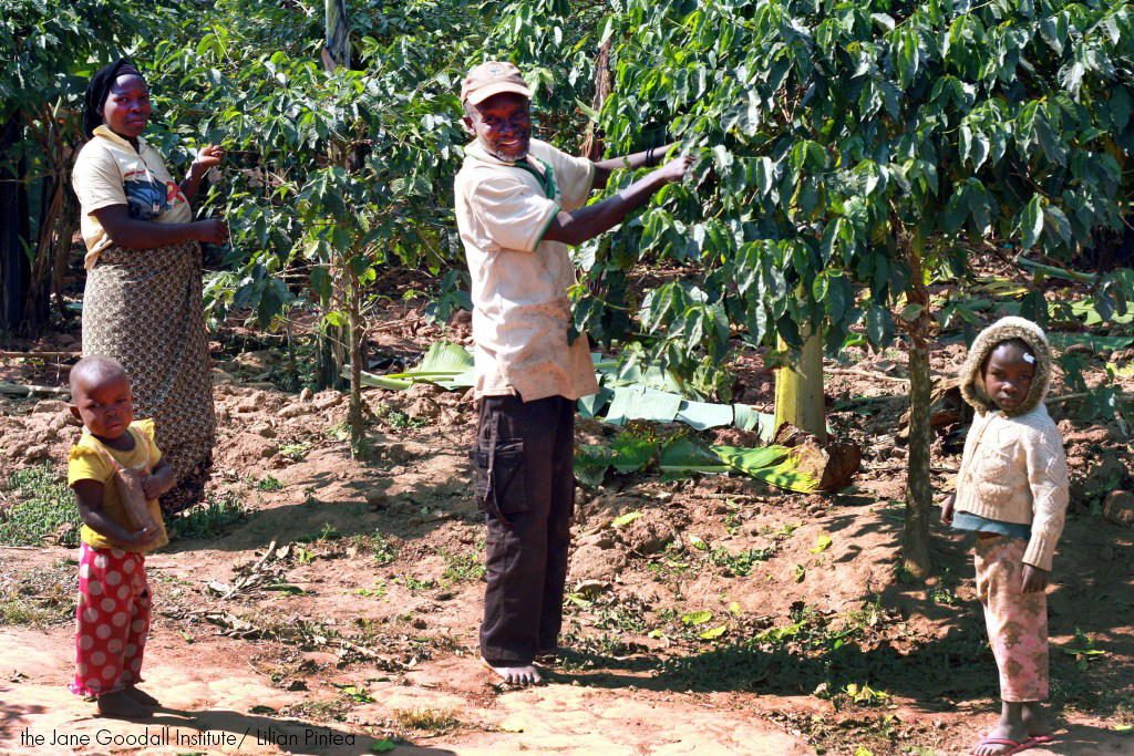 Coffee growers