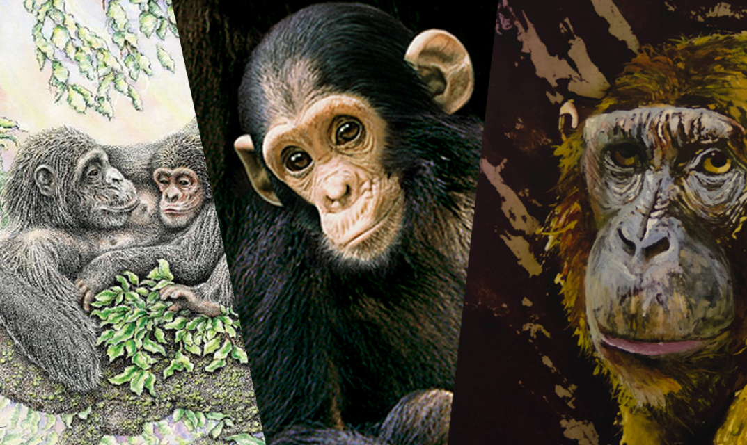 art prints banner no text