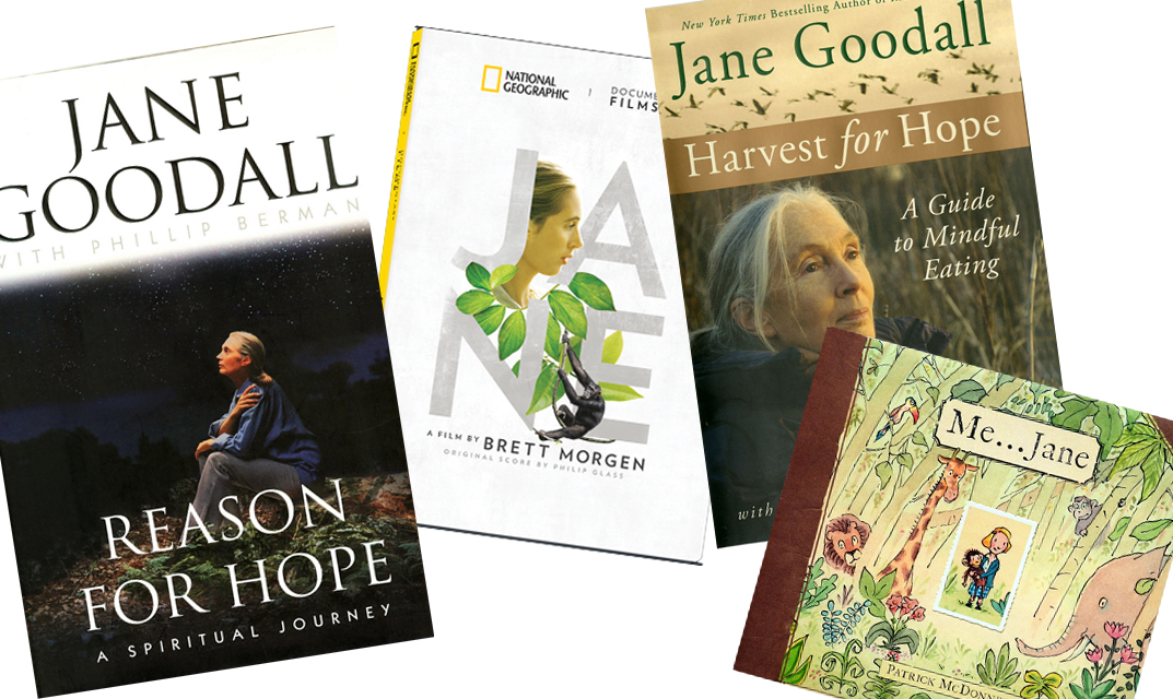 books banner 2