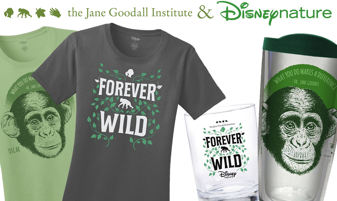 disneynature banner