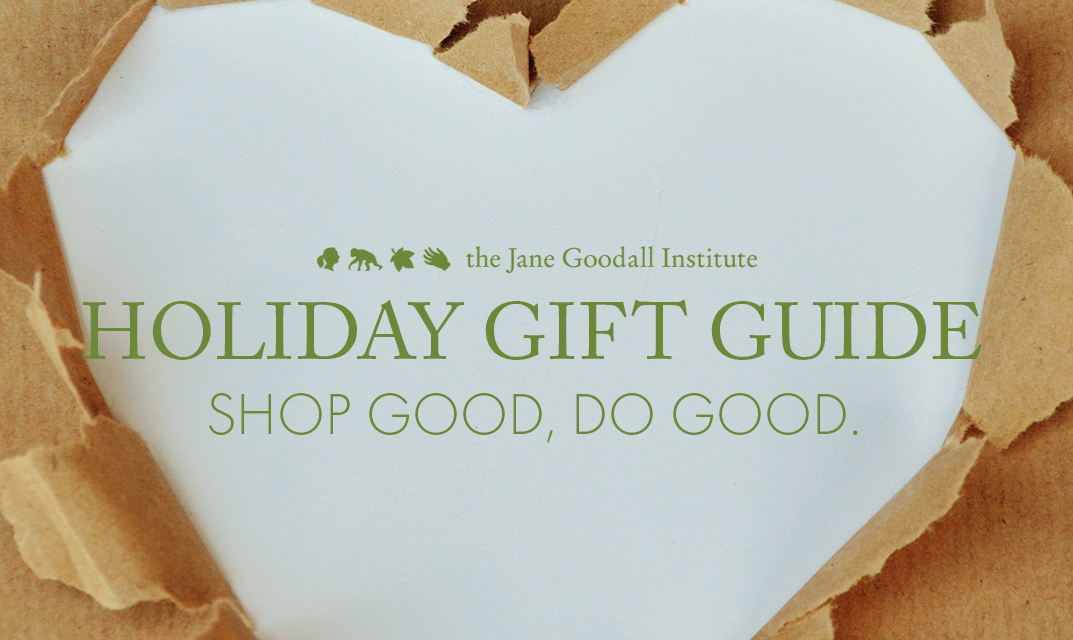 gift guide banner