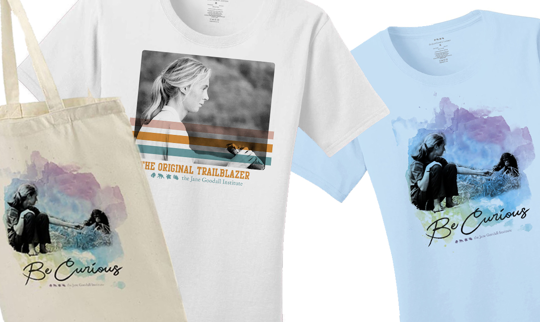 jane items banner 1