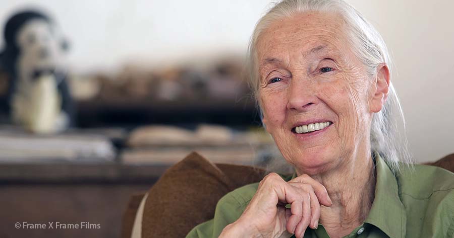 March 24, 2020: Special Message from Dr. Jane Goodall to JGI Family