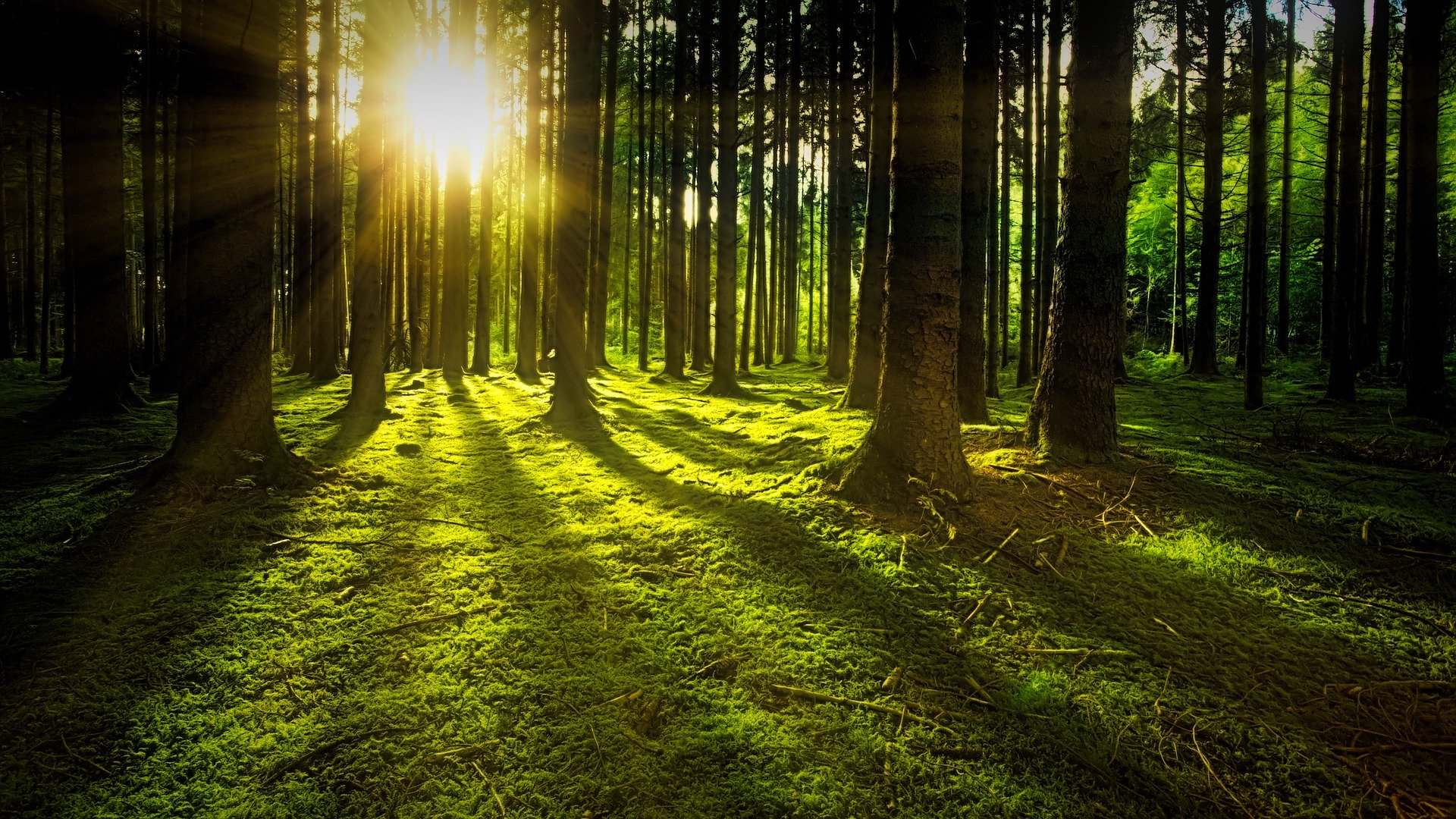 In Crisis, Hope Has the Power to Transform