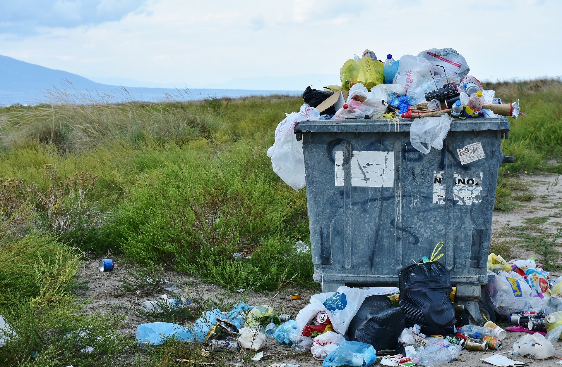 Use the Five R’s to Do a Waste Audit