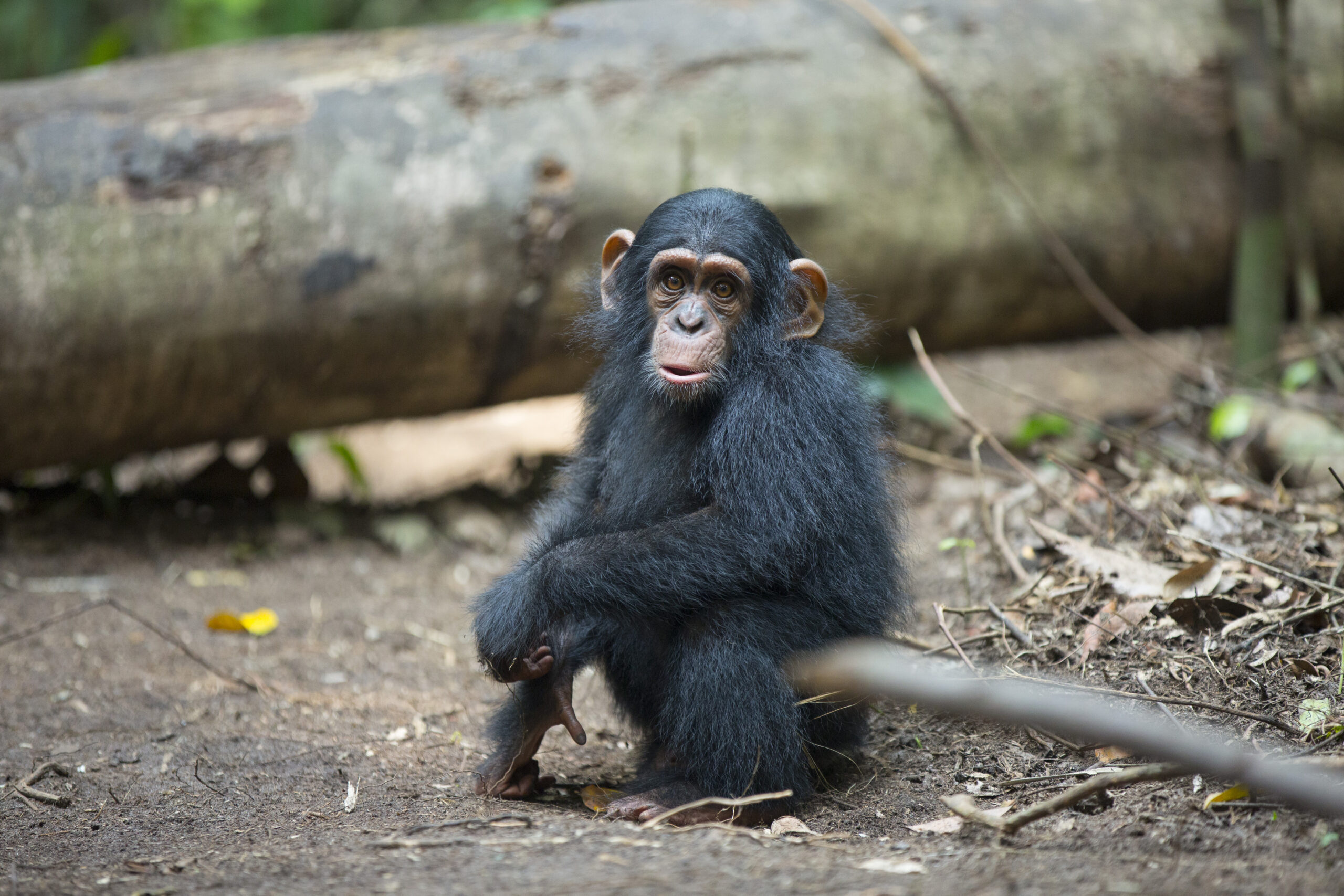 A Story of Hope: Johana, Rickita, & Tina