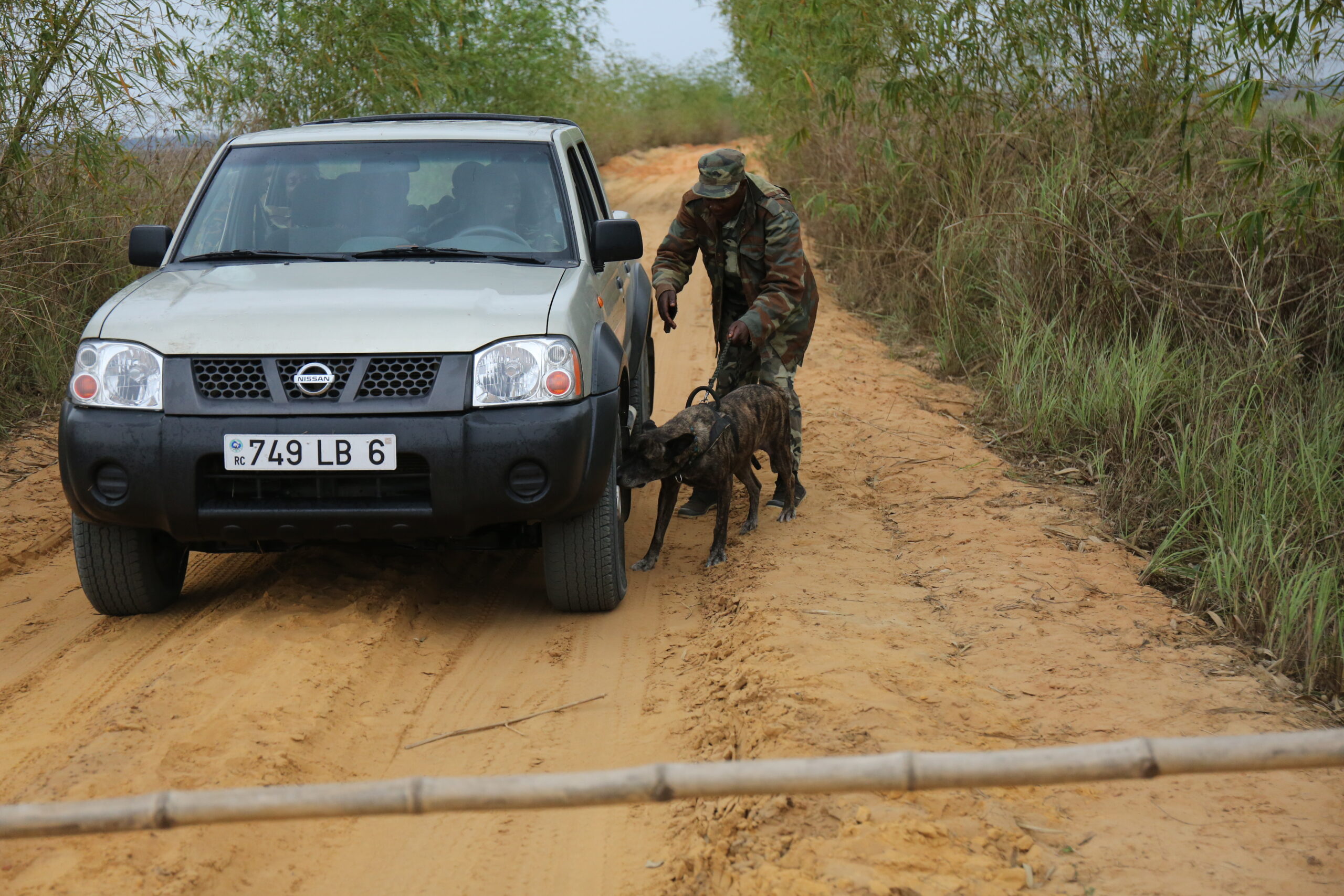 The Smell of Success in Fight Against Wildlife Trade