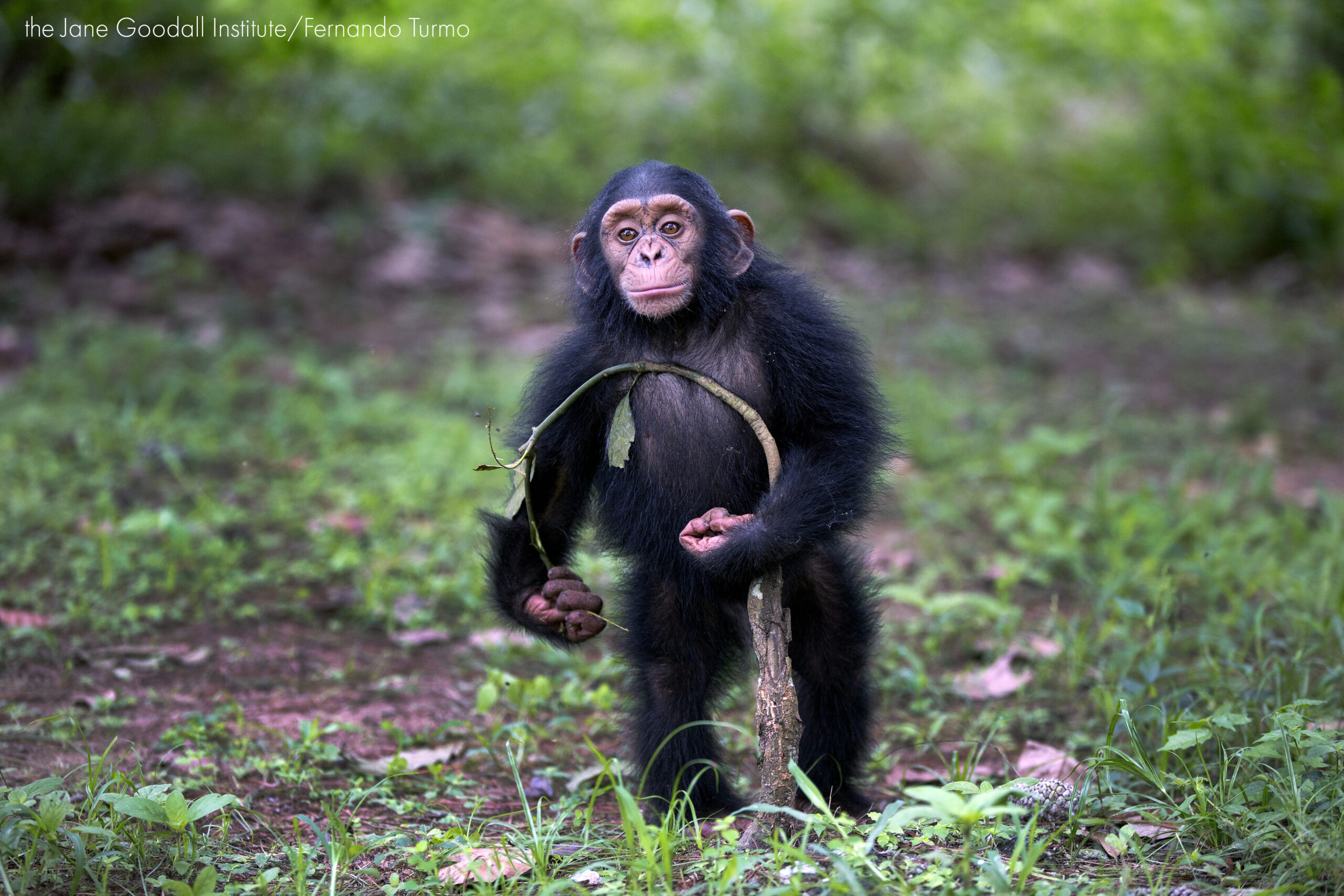 Captive Animal Facility Checklist: Know Before You Go!