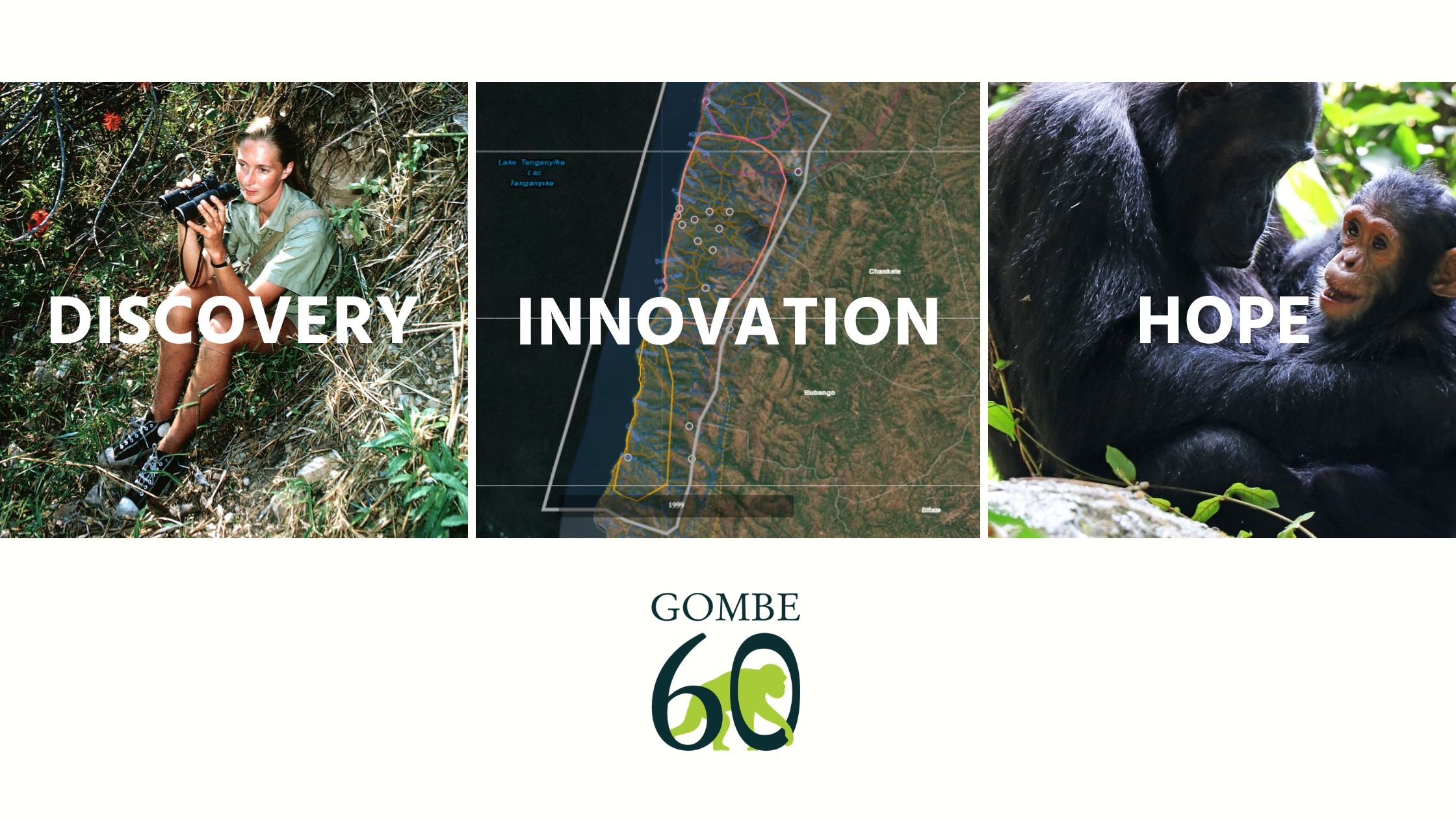 GOMBE 60: Honoring 60 Years of Discovery, Innovation, & Hope