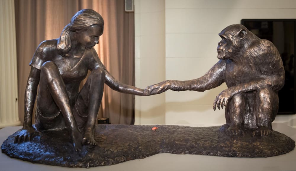 Marla Friedman’s Sculpture of Dr. Goodall and David Greybeard – Now Available in Limited Edition