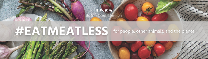 New JGI Book #EATMEATLESS Encourages Every Individual to Go Plant-Based