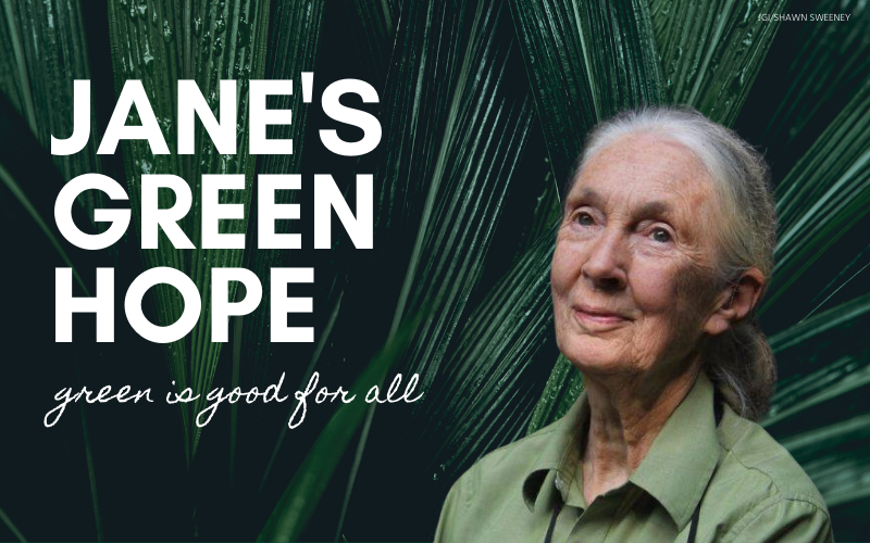 87 Years of Impact: Jane’s Green Hope