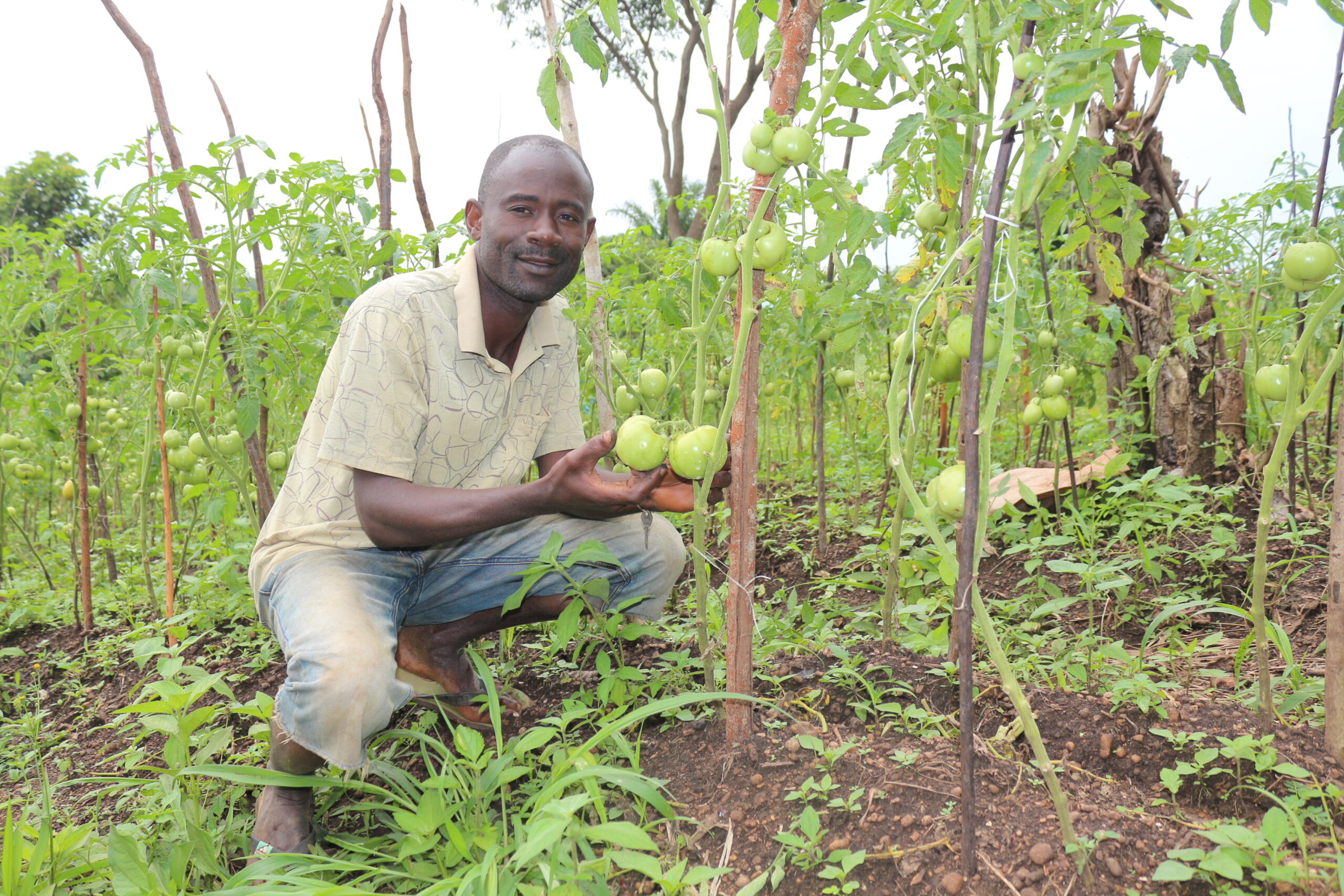 Composting for Forest Protection & Sustainable Development