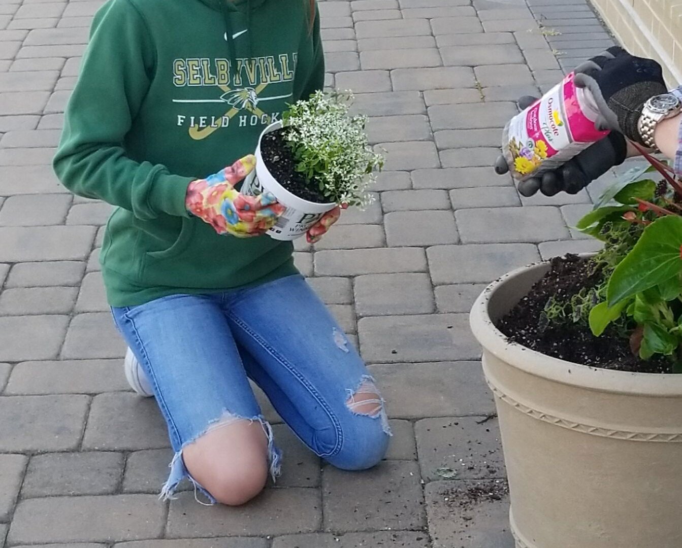Inspiring Youth Project of the Month: Native Wildlife Oasis