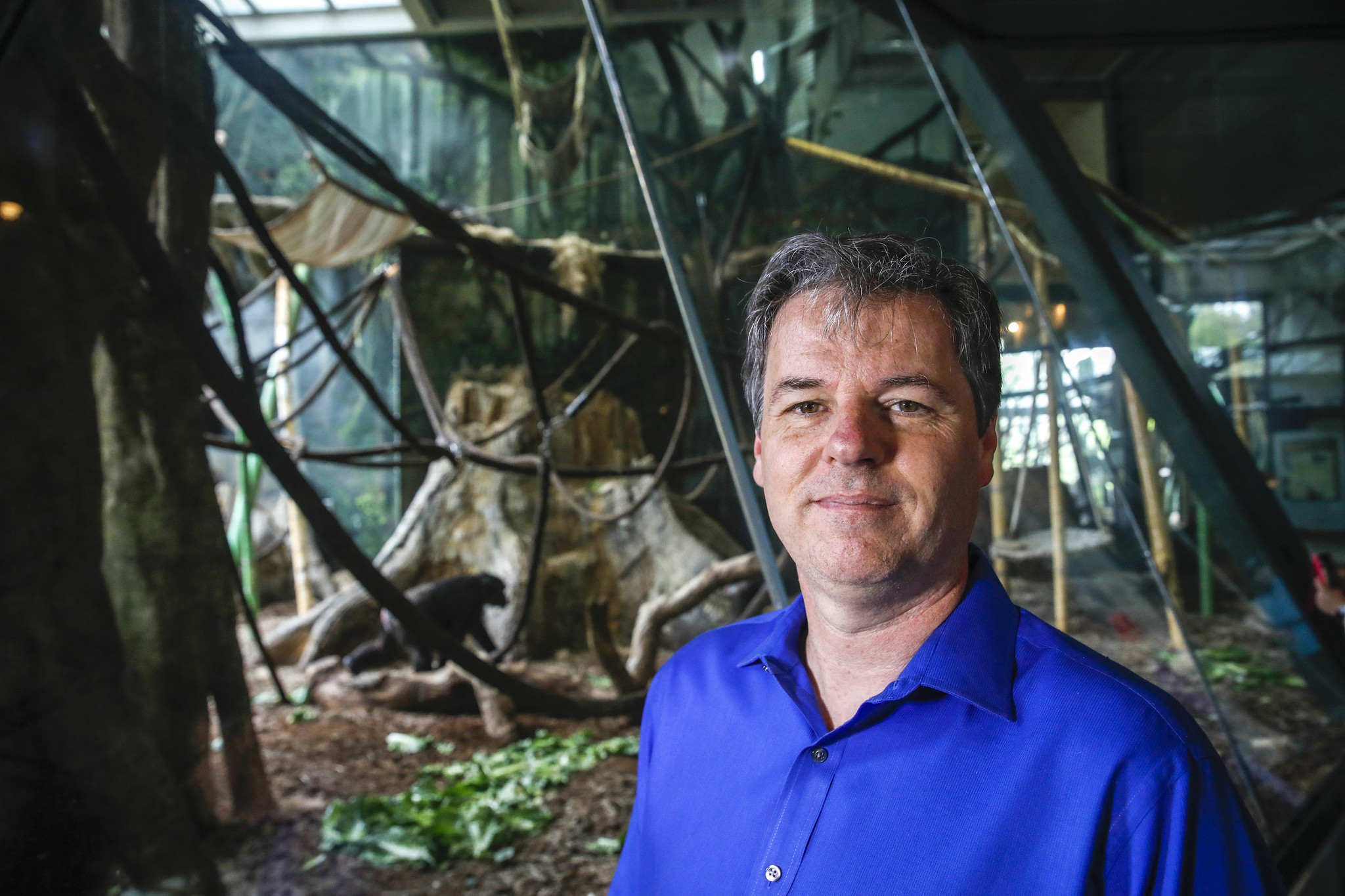 Remembering Steve Ross, Friend of Chimpanzees