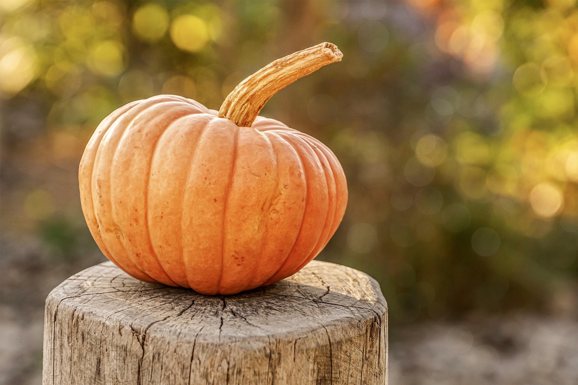 Inspiring Youth Project: Halloween Hospitality 