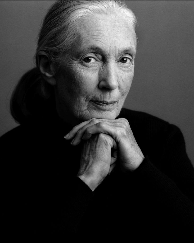 Jane’s Letter on Iranian Amnesty