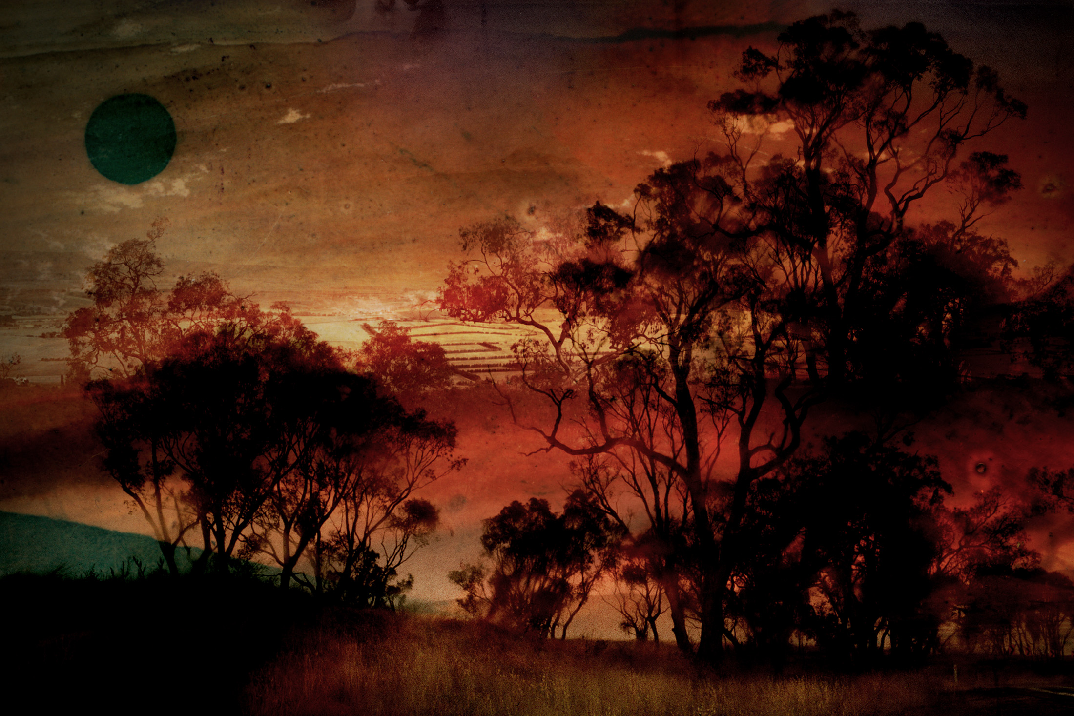 A photo of the silhouette of sparse trees against an orange and red smokey sky.