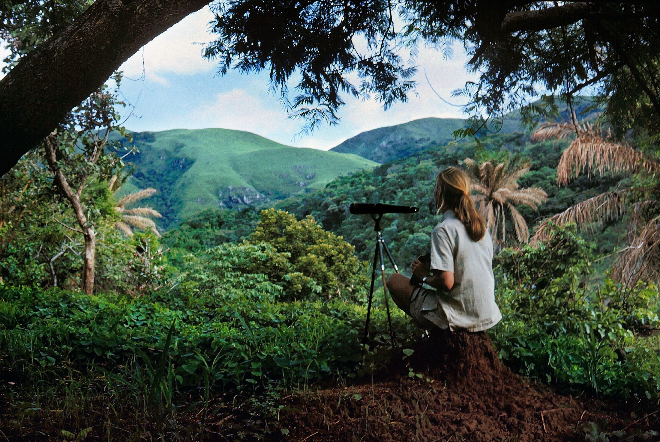 Celebrating Jane’s 90th with Vital Impacts: Women Behind the Lens 
