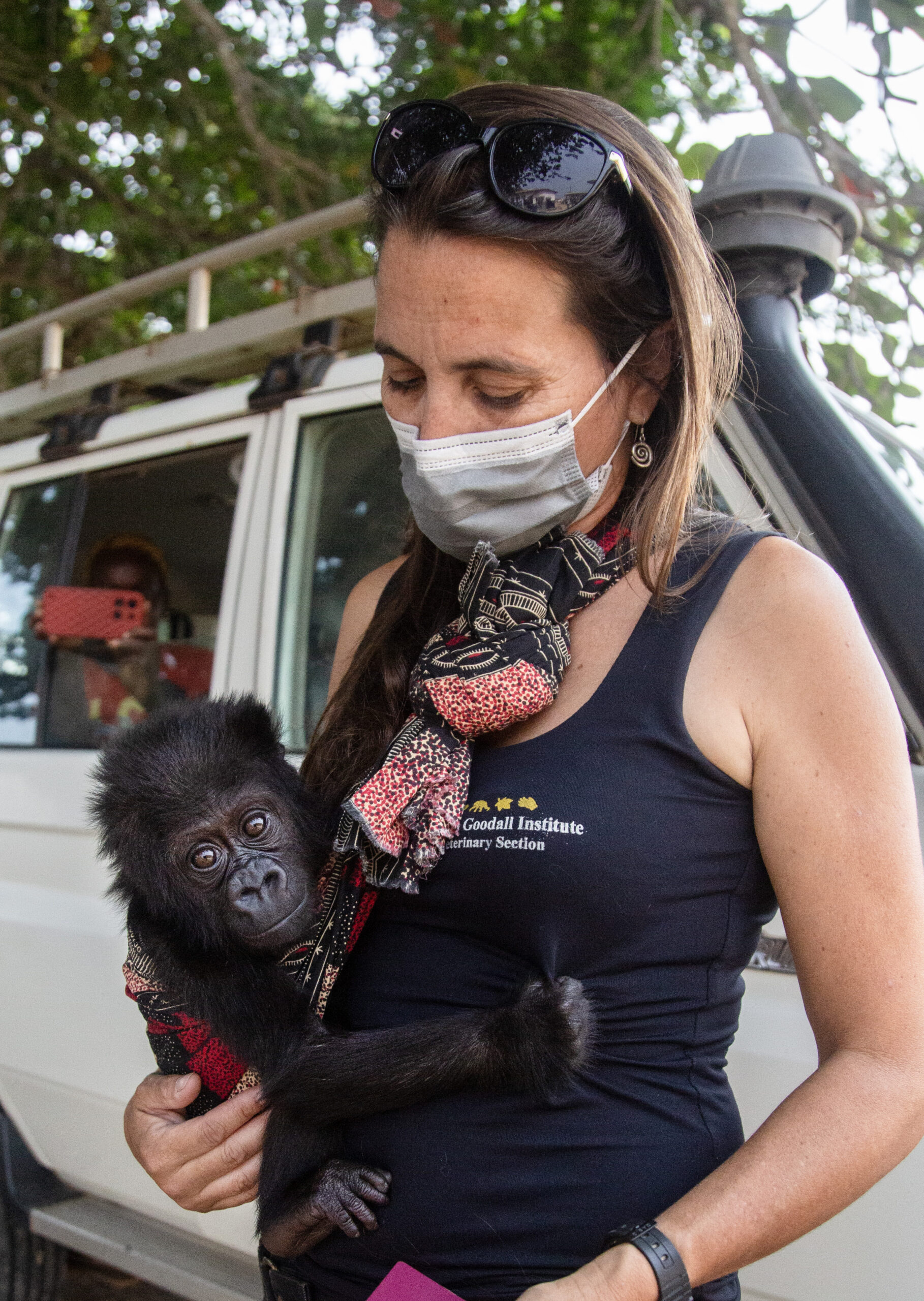 A photo of a middle-aged, feminine person with tan skin and straight, brown hair holding onto a baby gorilla that is in a sling around her hip.