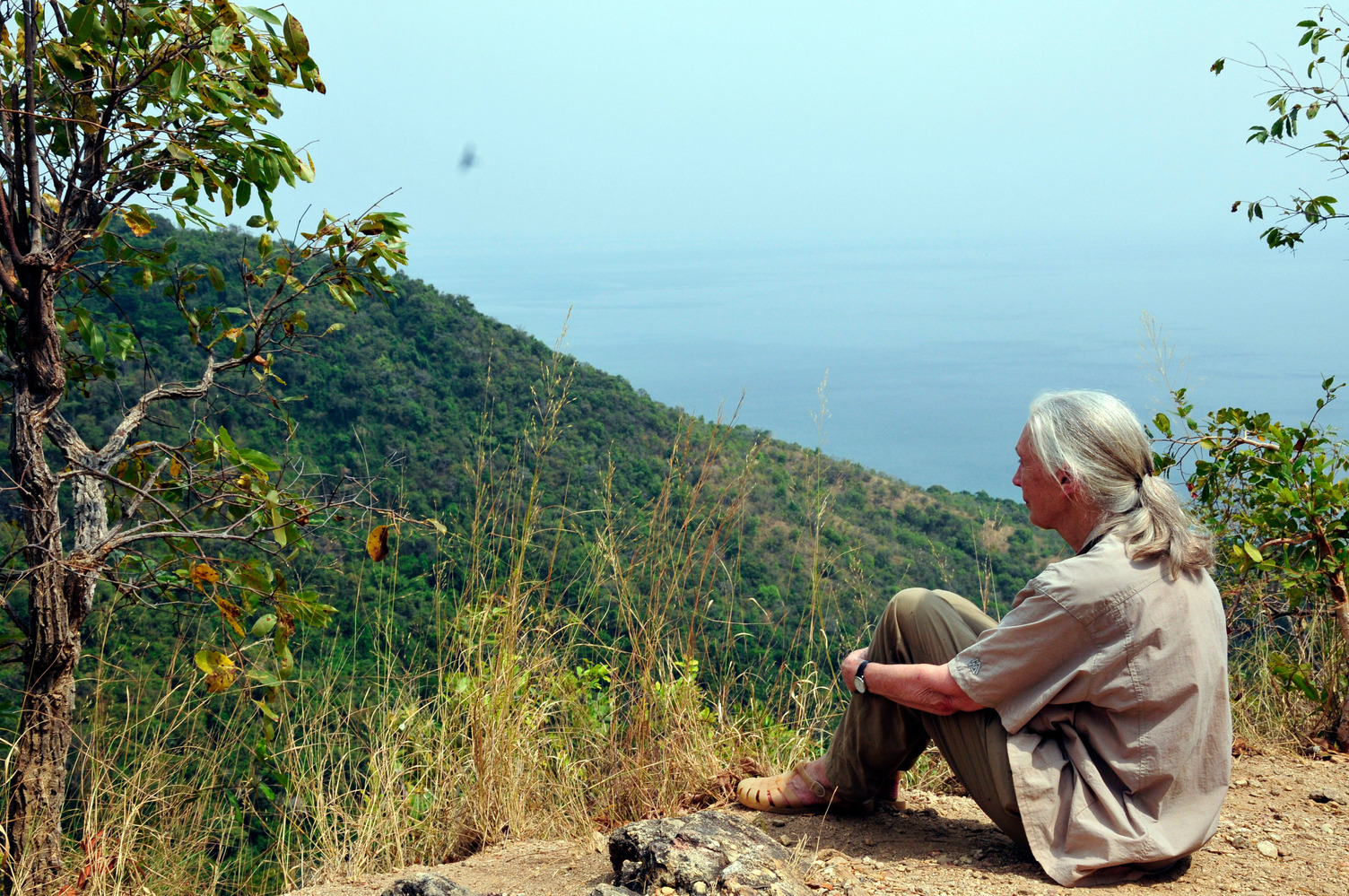 Statement from the Jane Goodall Institute Convention of Biological Diversity COP16