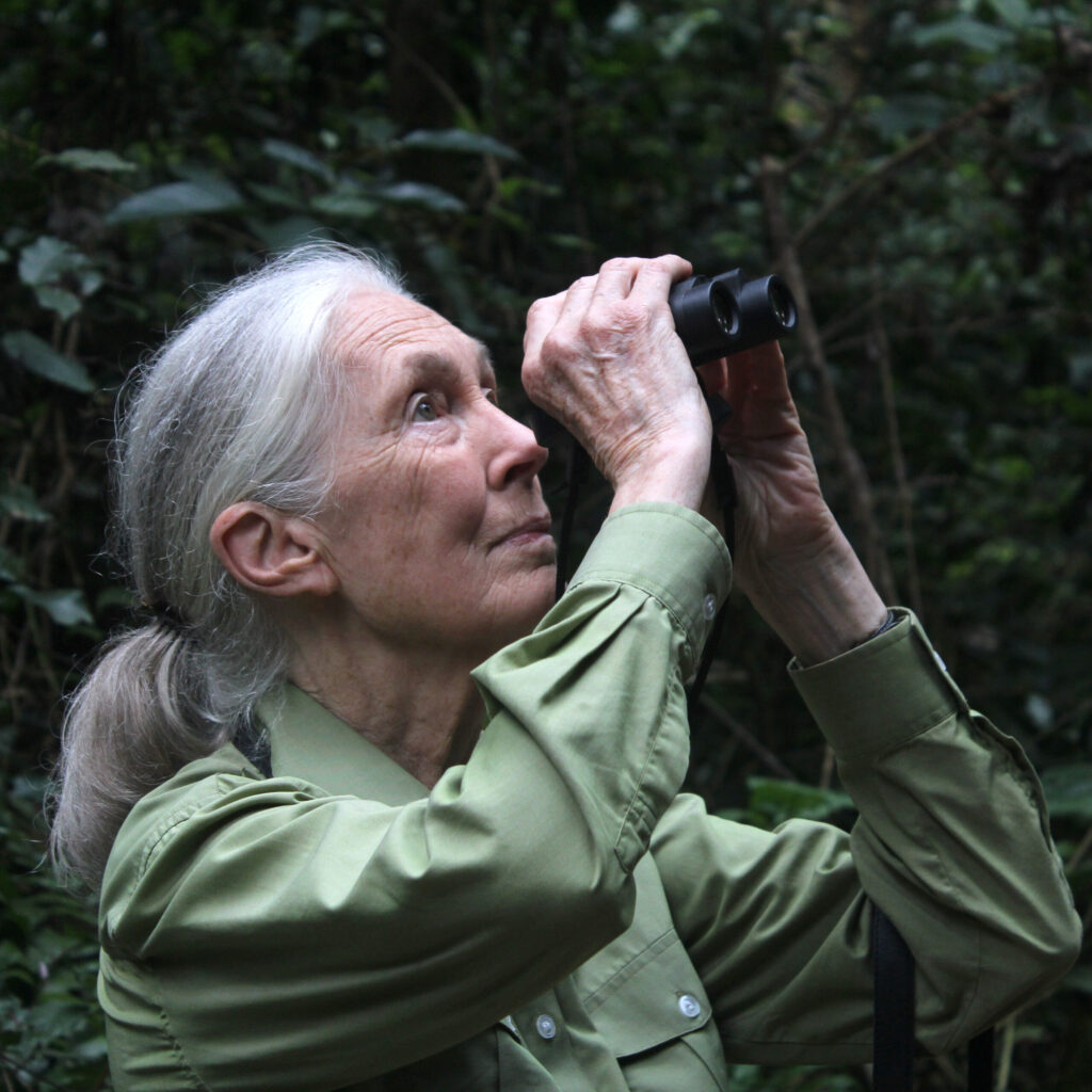 A woman with a grey ponytail and green collared shirt (Jane Goodall) looking through binoculars in a forest setting.