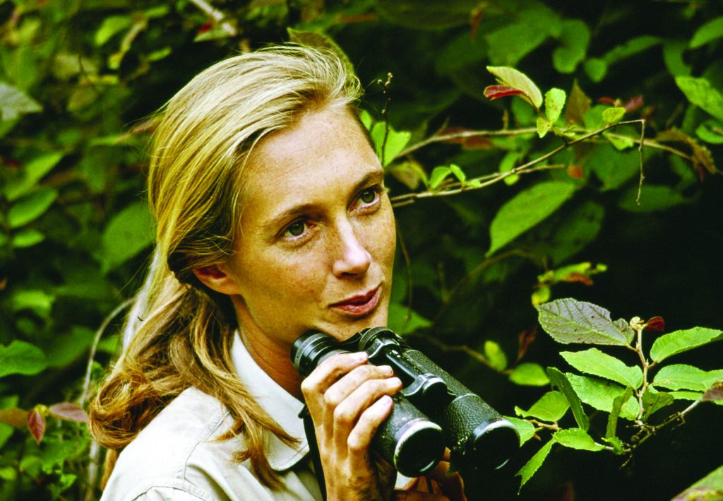 A young woman with a blonde ponytail (Jane Goodall) holding binoculars in dense green vegetation.