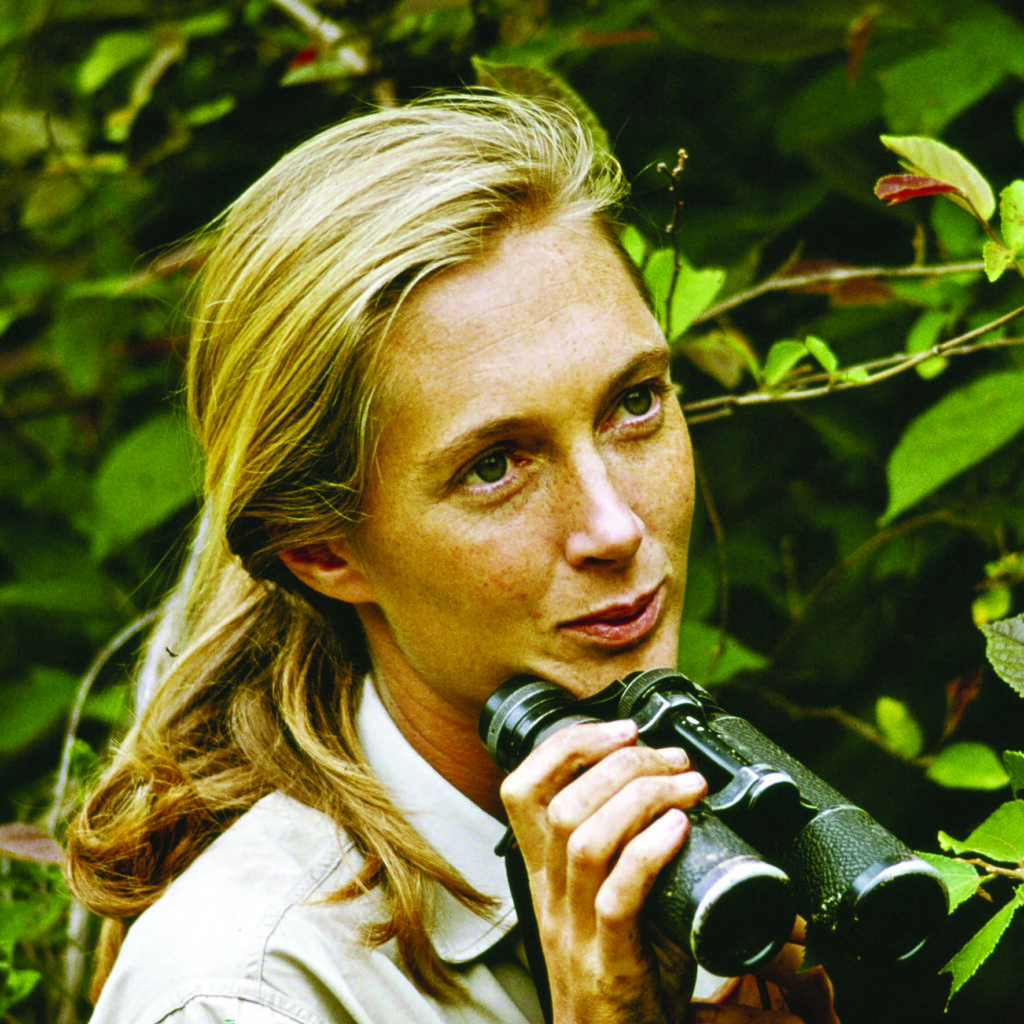 A young woman with a blonde ponytail (Jane Goodall) holding binoculars in dense green vegetation.