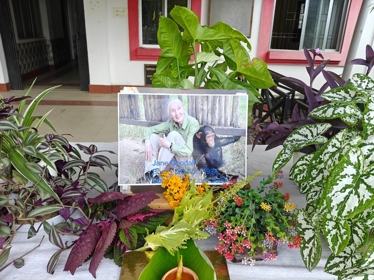 The World Mourns Dr. Jane Goodall