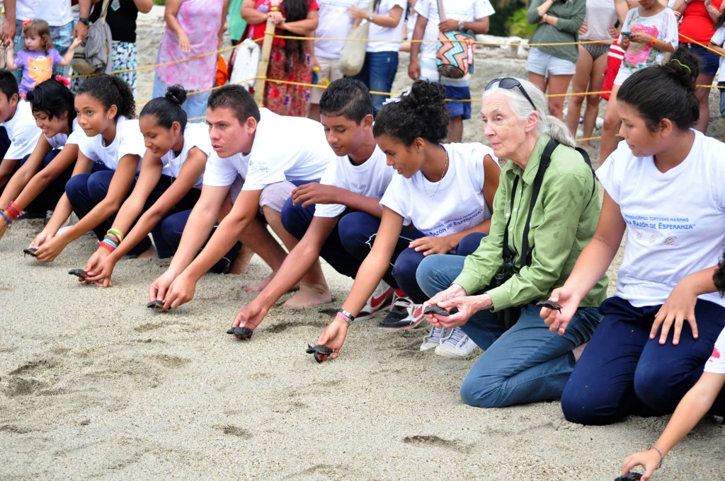 A group of students and a feminine person with a white ponytail (Jane Goodall) crouching on a beach releasing baby turtles.