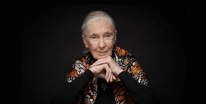 A mature woman with a white ponytail (Jane Goodall) wearing a monarch butterfly shawl in front of a dark background.