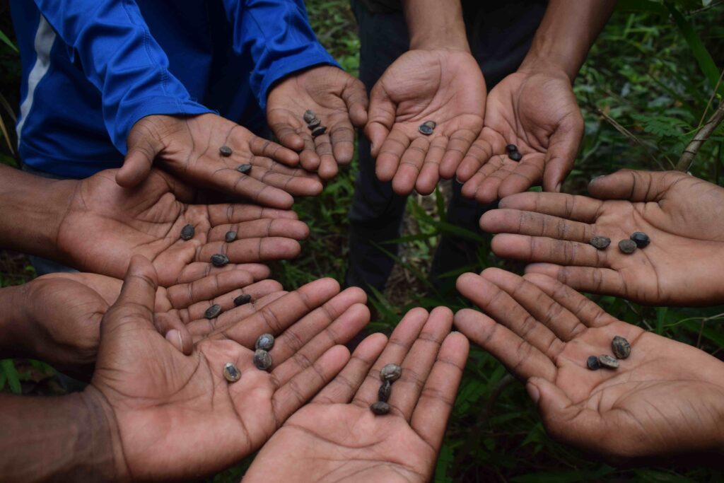 A photo of five sets of dark-skinned hands forming a circle with palms facing upwards holding seeds.
