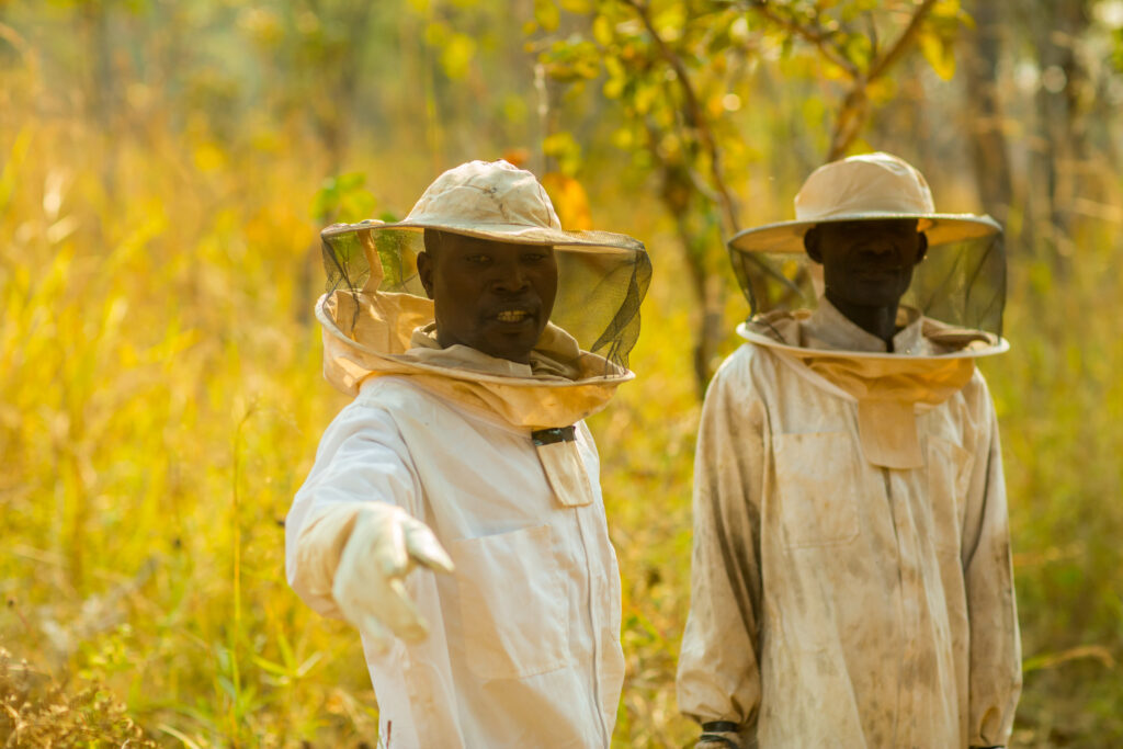 A photo of two young, masculine people with dark skin wearing beekeeping suits and standing outside.