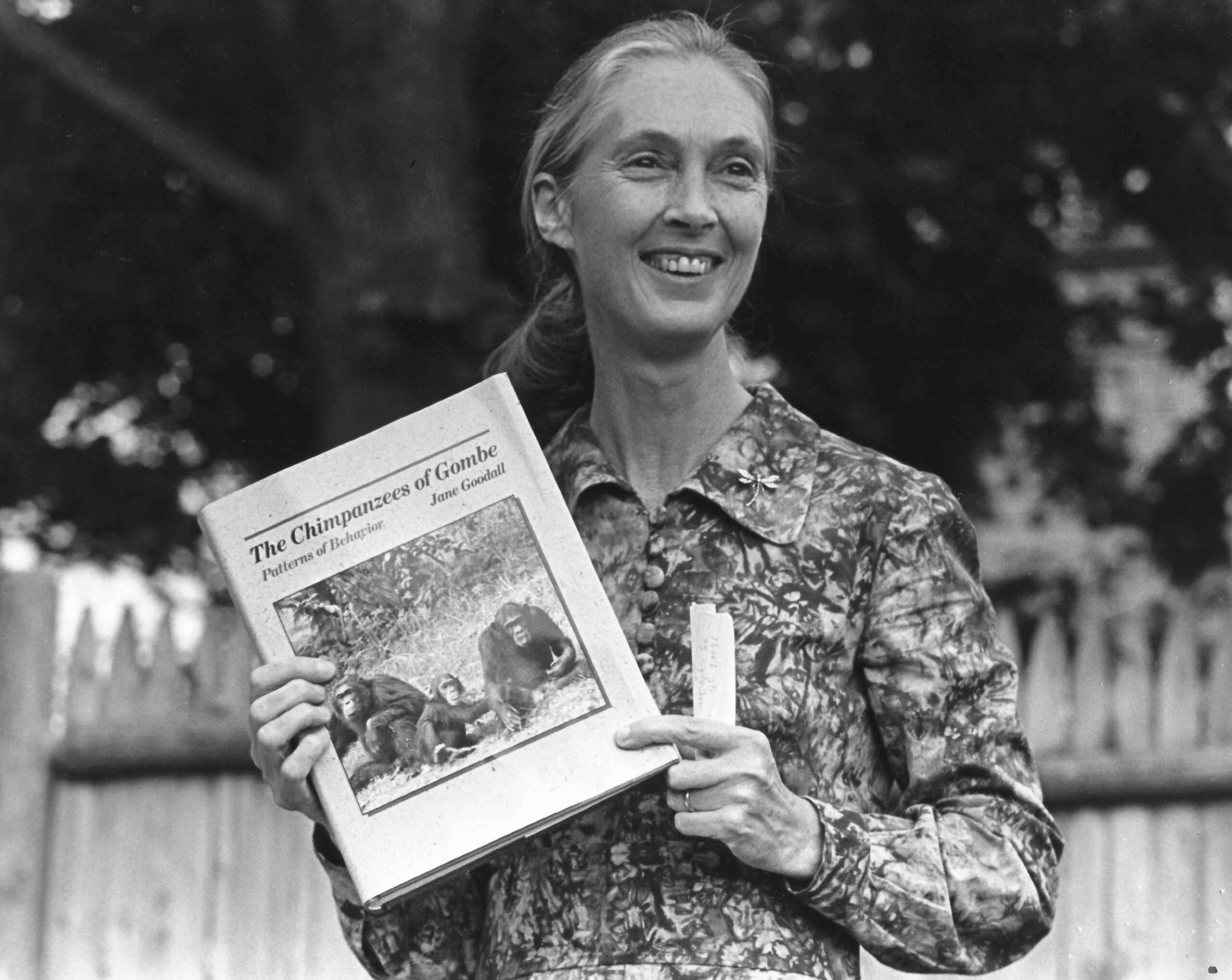 A black and white photo of a young, feminine person with light skin and light hair in a ponytail (Dr. Jane Goodall) standing outside and holding up a book titled, "The Chimpanzees of Gombe."