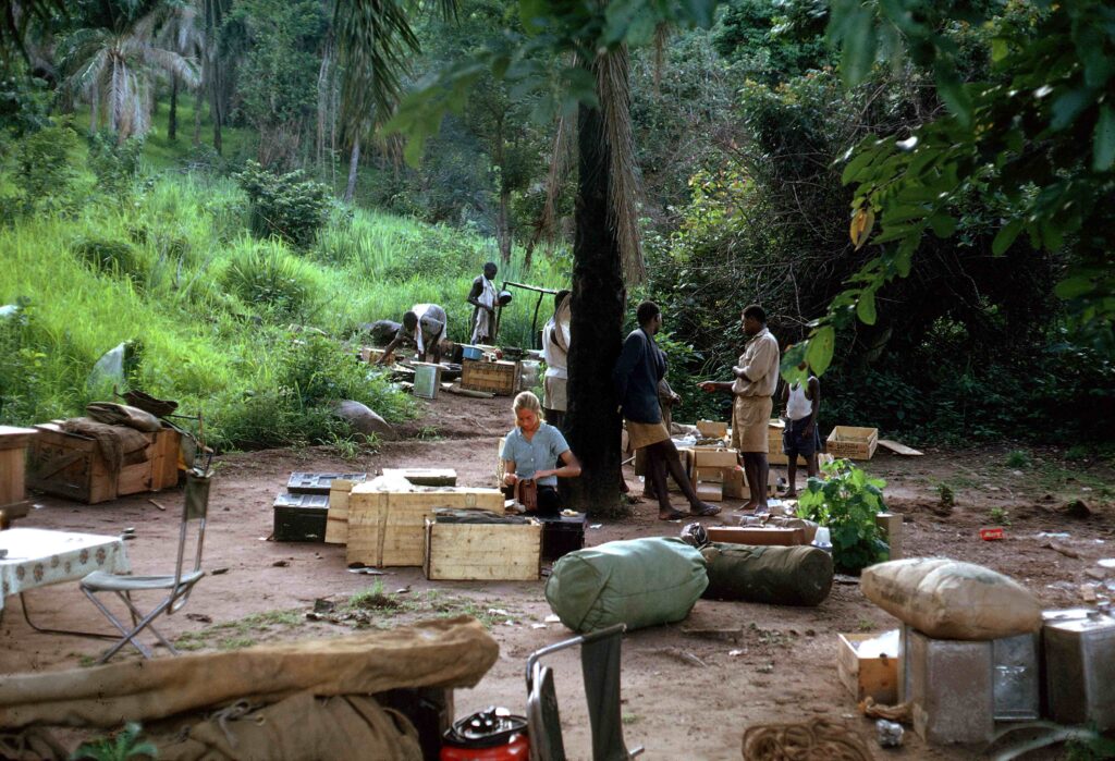 A photo of a campsite being set up in the middle of the forest.