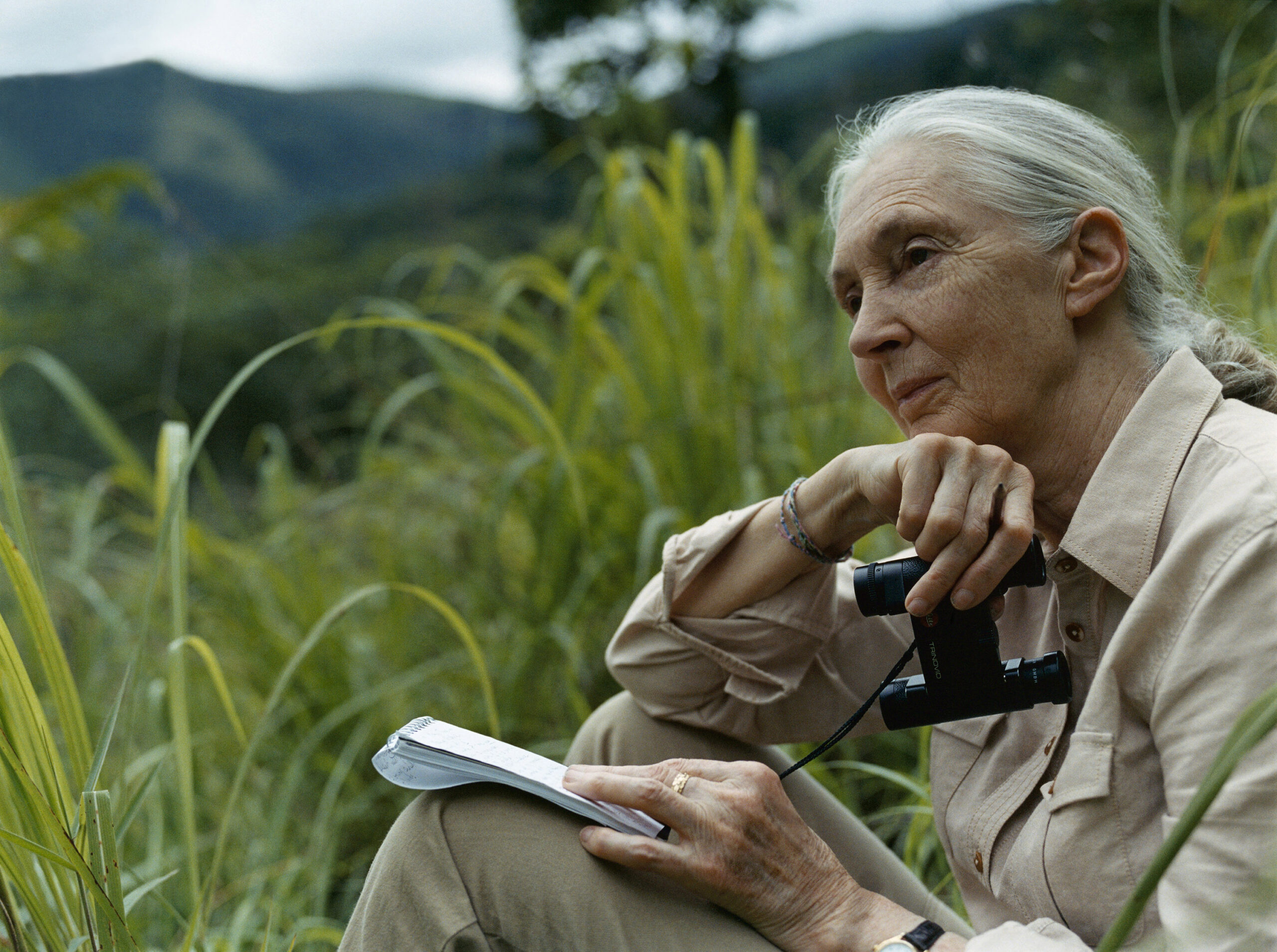 A photo of an elderly, feminine person with light skin and white hair in a ponytail (Dr. Jane Goodall) sitting among tall grass and holding a journal and a pair of binoculars.