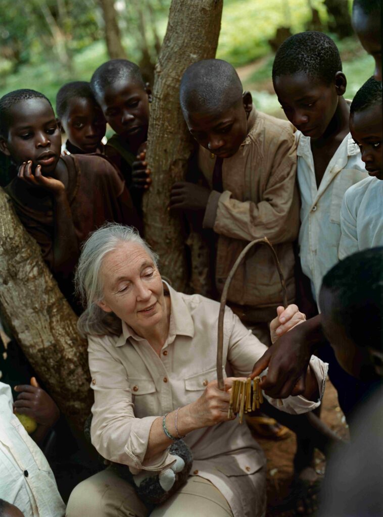 A photo of an elderly, feminine person with light skin and white hair in a ponytail (Dr. Jane Goodall) receiving an instrument made of several sticks from one of a group of children with dark skin around her.