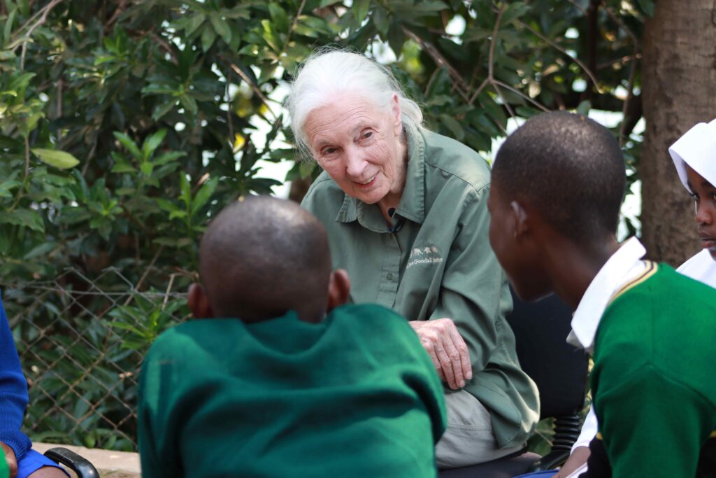 A photo of an elderly, feminine person with light sin and white hair in a ponytail (Dr. Jane Goodall) sitting outside and speaking to a group of children with dark skin and shaved heads wearing matching school uniforms.