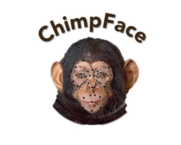Image result for chimp face ai russo