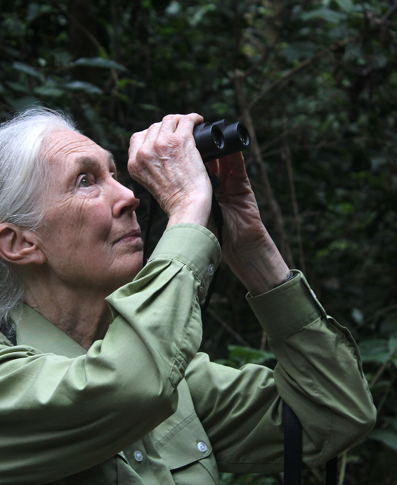 Jane Goodall looking through binoculars in Gombe Stream National Park.