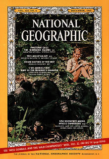 The cover of National Geographic magazine, with a young woman with a blonde pony tail (Jane Goodall) looking at a troop of chimpanzees in the foreground.