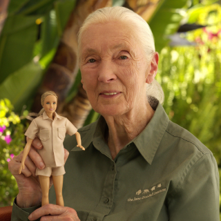 A woman in a green collared shirt with a white ponytail (Jane Goodall) hold a doll (the Jane Goodall Barbie).